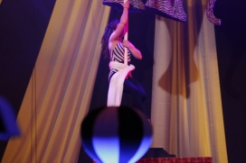Aerial Artiste