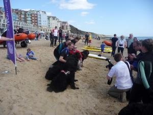 Eventscape-Coastal-Activity-Park-Tobias-Ellwood