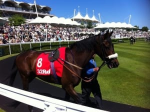 Horse Racing Ascot