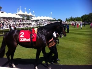 Parade-ring-Horse-racing