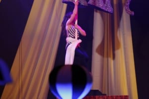 Aerial Artiste